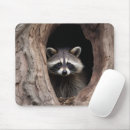 Suche nach waschbären mousepads Wald