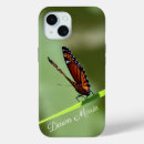 Recherche de photos de papillon coques Monarque