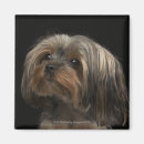 Suche nach trauriges gesicht magnete Hund