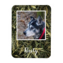 Suche nach mein eigenes foto magnete Haustier