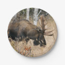 Suche nach elch teller Natur