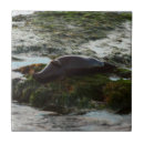 Recherche de literie carreaux Pour tous