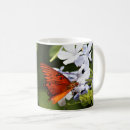 Recherche de papillons oranges tasses Papillon monarque