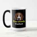 Recherche de compagnon animal tasses Compagnon de canine