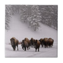 Suche nach bison fliesen Natur