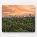 Suche nach jackson mousepads Niemand
