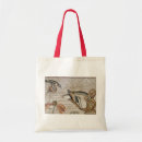 Recherche de le del sacs Fauno