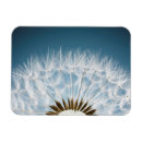 Recherche de grains magnets Fleur