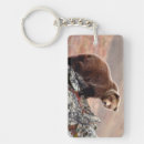 Suche nach braunbär schlüsselanhänger Usa