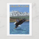 Suche nach yellowstone nationalpark postkarten Staaten