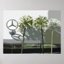 Suche nach agapanthus poster Weiß