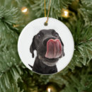 Suche nach nase ornamente Hund