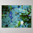 Recherche de koi pond posters Étang