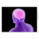 Recherche de lobe cartes postales Illustrations biomédicales