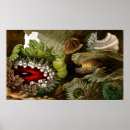 Suche nach seeanemonen poster Vintag
