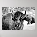 Suche nach eisig poster Natur