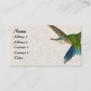 Recherche de colibri bleu cartes visite Colibris