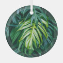 Suche nach tropen ornamente Natur