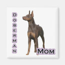Suche nach dobermann magnete Pinscher