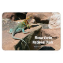 Recherche de lézard magnets Faune