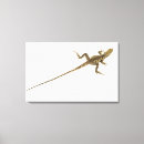 Suche nach eidechse poster leinwandbilder Skalen