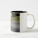 Suche nach betrachten der kamera tassen Veterinärbüro