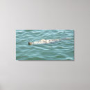 Suche nach kabeljau leinwandbilder Siegel