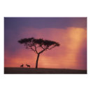 Suche nach naturreservat poster Landschaft