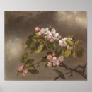 Suche nach apfelblüte poster Frühjahr