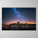 Suche nach neuseeland see poster Lupine