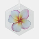 Suche nach plumeria ornamente Hawaii
