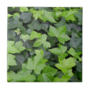 Suche nach ivy fliesen Grün