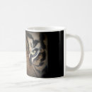 Recherche de yeux tigre tasses Tigres