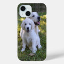 Recherche de chiot golden retriever iphone coques Récupérateur doré