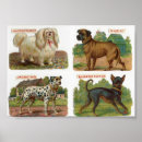 Recherche de chien de carlin art Bulldog