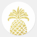 Recherche de ananas tropical autocollants Hawaii