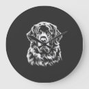 Recherche de terre neuve horloges Animal