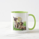Recherche de chiot berger allemand tasses Mignon