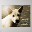 Recherche de chiens posters De chien