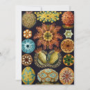 Suche nach wassertier einladungen Meeresleben