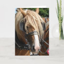 Suche nach belgier karten Entwurf