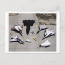 Suche nach flotte postkarten Foto