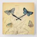 Recherche de naturaliste art Papillon