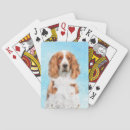 Recherche de espagnol jeux de cartes Chien