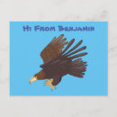 Suche nach goldener adler postkarten Raptor