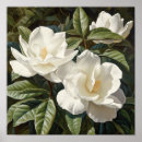 Recherche de fleuri posters Pour tous