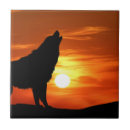 Recherche de canin carreaux Loup