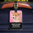 Suche nach corgi gepäckanhänger Welpe
