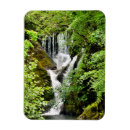 Recherche de cascade magnets Arbres