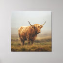 Suche nach cow leinwandbilder Hochland